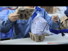 750ml Ultrasonik Temizleme Ekipmanı Taşınabilir CD Takı Meyve Mini 35W JP-900S